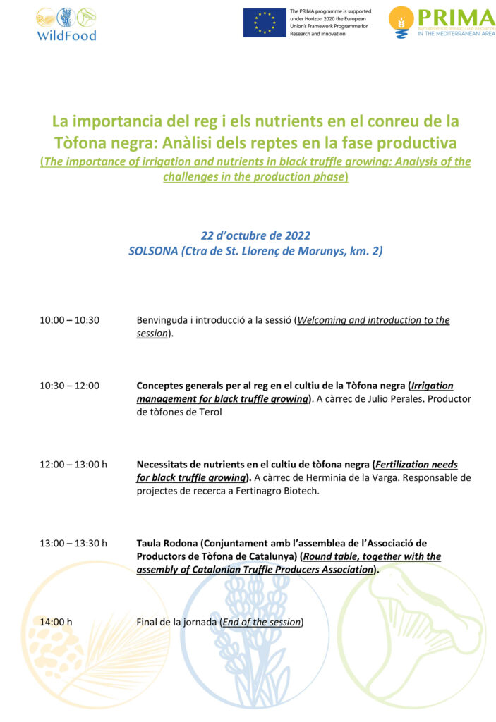 New workshop on black truffles cultivation in Spain