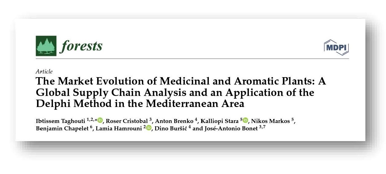 Wildfood publication: “The Market Evolution of Medicinal and Aromatic Plants: A Global Supply Chain Analysis and an Application of the Delphi Method in the Mediterranean Area”